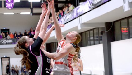 Владимирские львицы-ВлГУ - МБА-МГУСиТ-2 76:60 (12.02.2025)