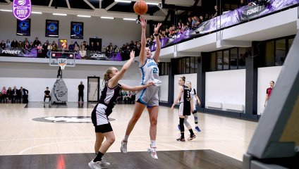 Владимирские львицы-ВлГУ - Невинномысск 86:68 (29.11.2024)